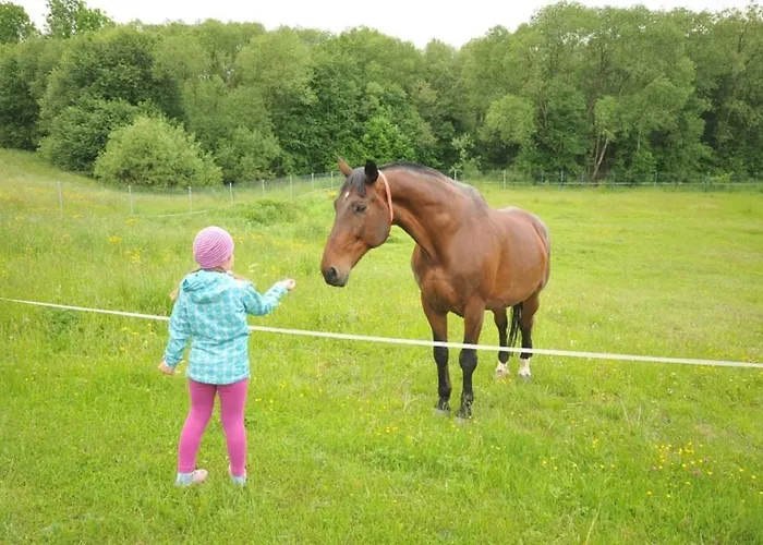 Hébergement de vacances Alex Liptov